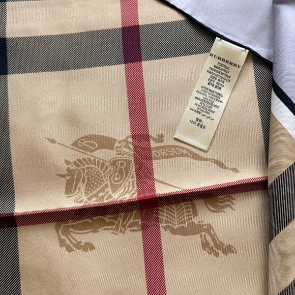 Display #4 Burberry Classic Check Scarf - Picture 8 of 14